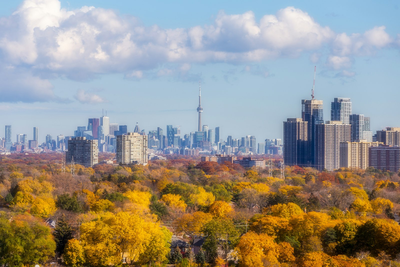 Canada Express Entry reform 2026 Toronto skyline IRCC consultation African applicants