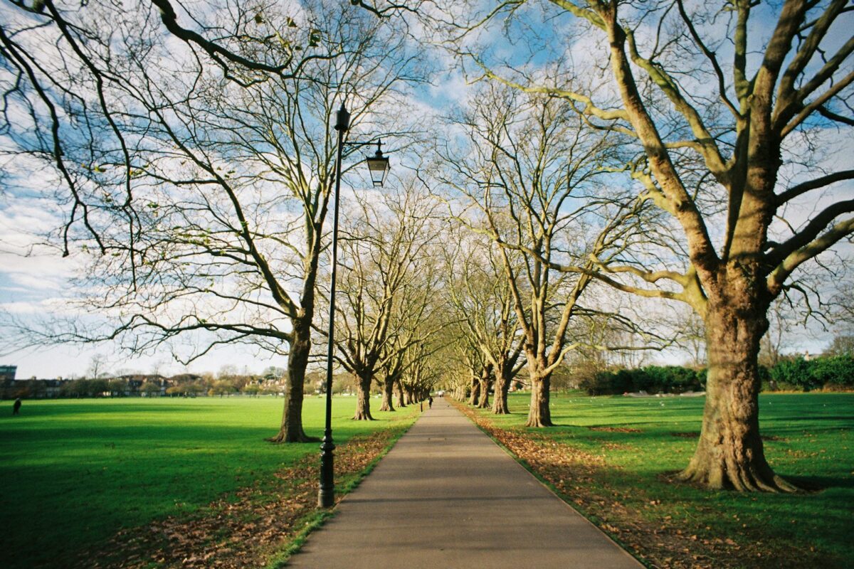 Commonwealth Scholarship 2027 African students UK university library