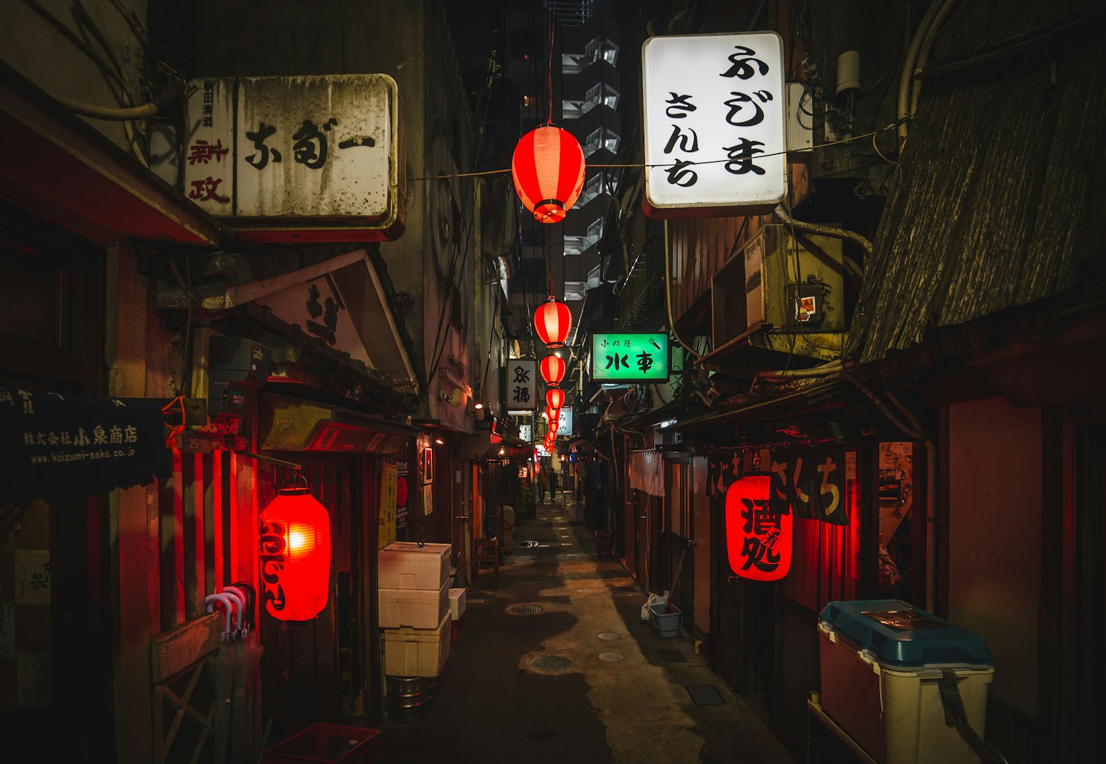 Japan Specified Skilled Worker 2026 Tokyo Africa workers SSW visa