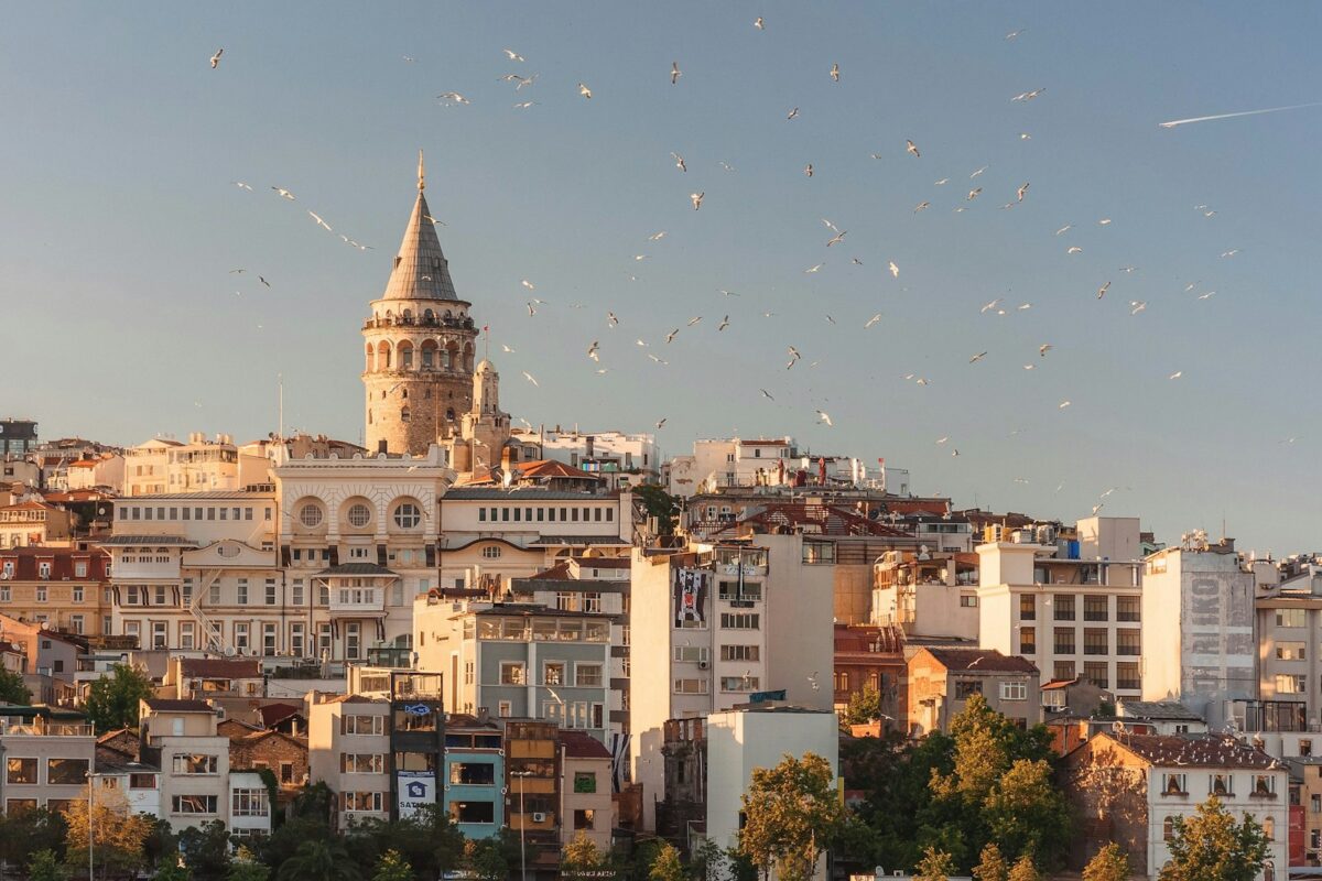 Turkiye citizenship by investment 2026 Istanbul Bosphorus African investor passport