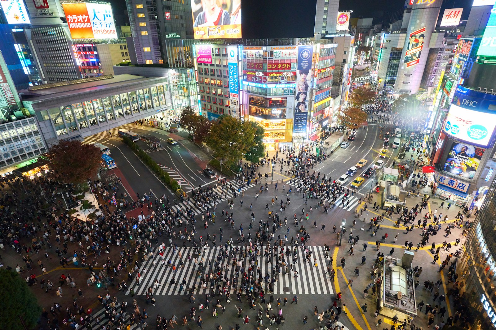 Japan Specified Skilled Worker visa