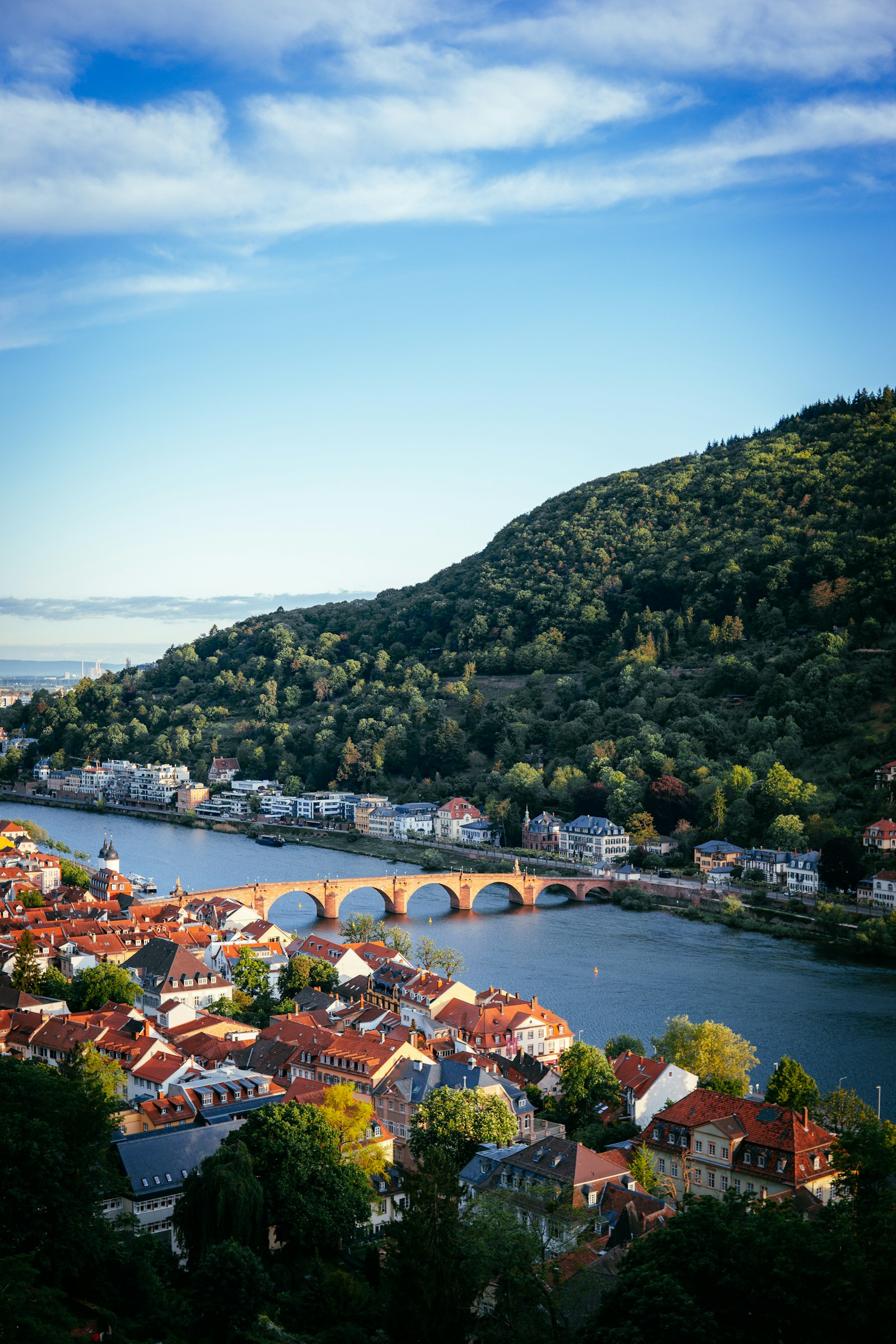 Germany student visa — Heidelberg old town and river, Germany