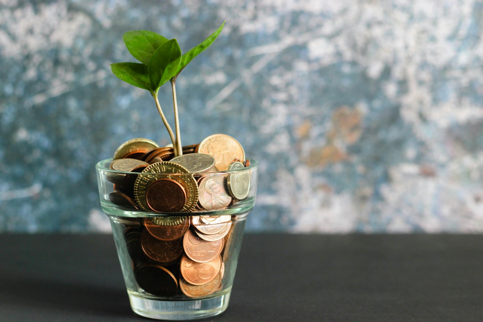 Proof of funds for a skilled visa by destination shown with savings and financial planning