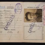 immigrant visa suspension ruling