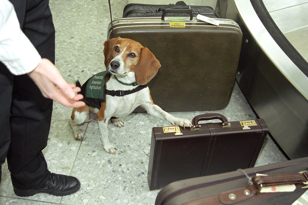CDC Ebola travel restriction