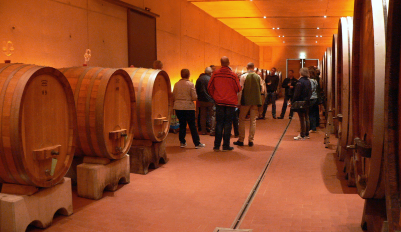 French wine cellar barrels Wine barrels in a French cellar amid the France wine production crisis