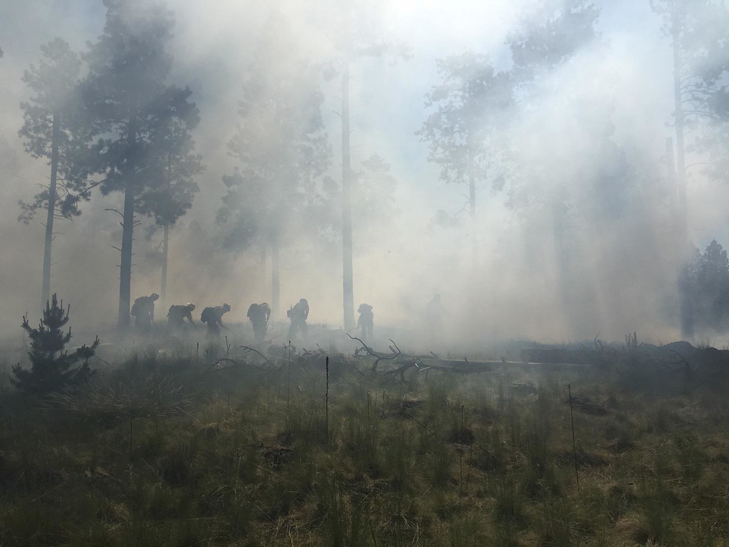 Indonesia wildfire emissions record