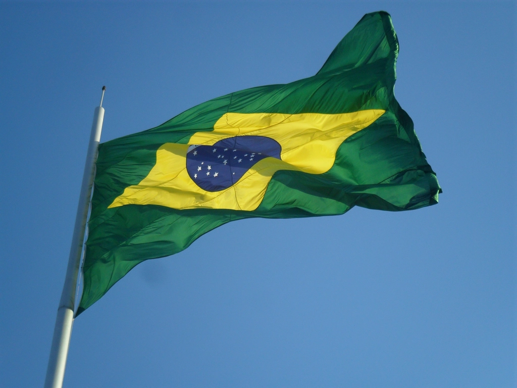 Brazil presidential election - Brazilian flag